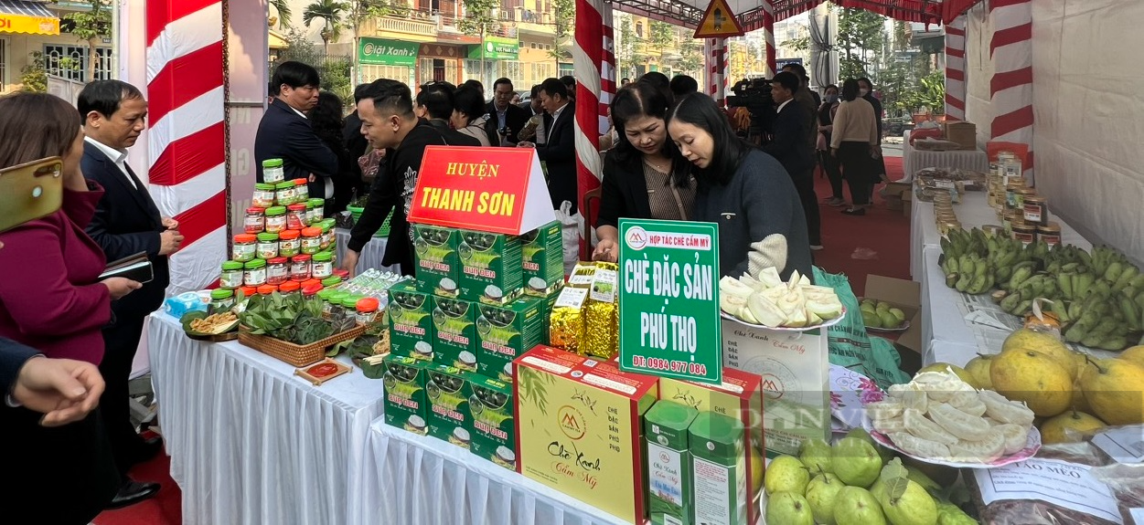 Phú Thọ làm gì để mở rộng sản xuất, nâng tầm sản phẩm OCOP? - Ảnh 1.