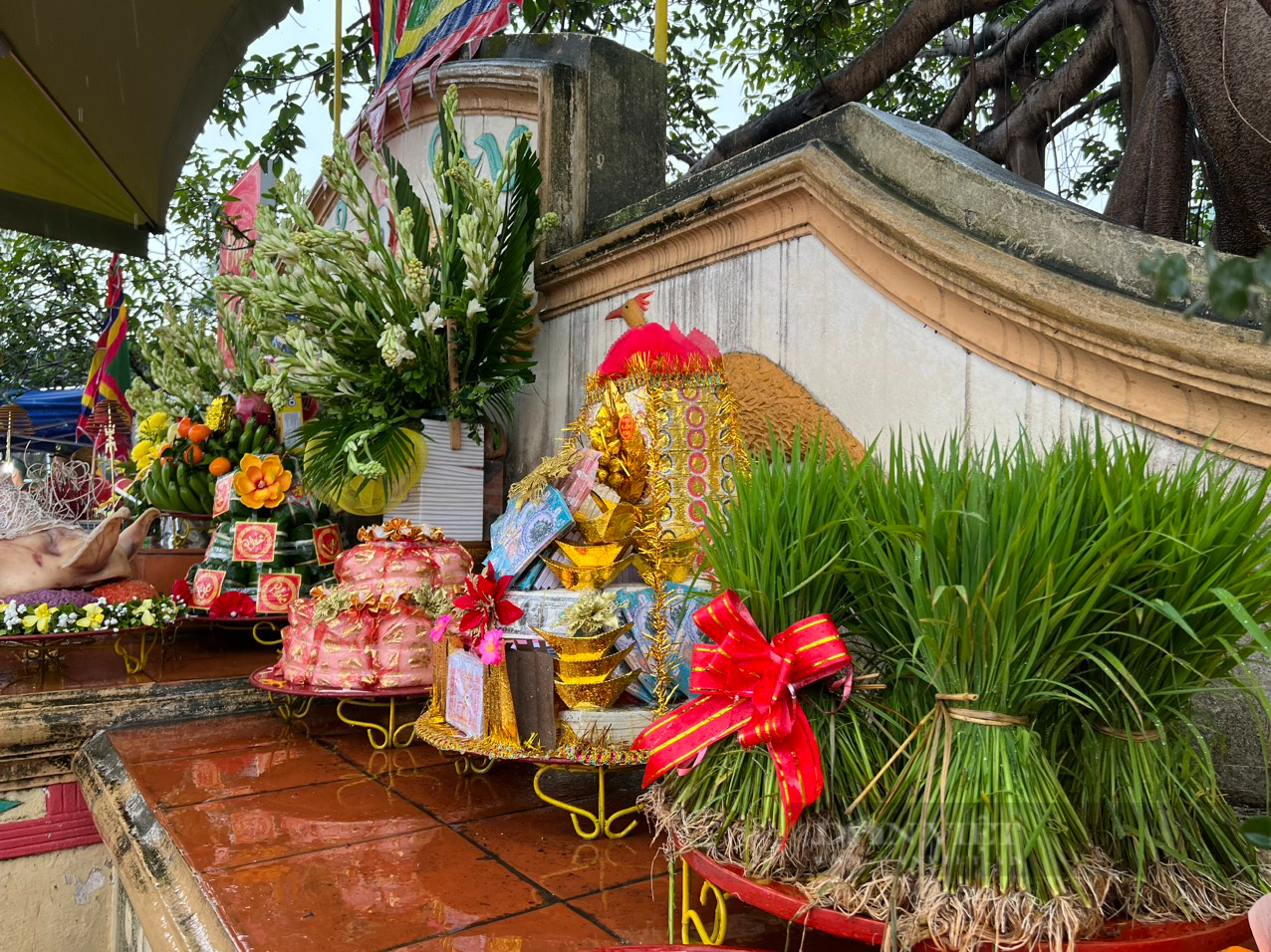 Người dân, du khách đội mưa rào xem &quot;Vua Hùng dậy dân cấy lúa&quot; tại đàn Tịch Điền - Ảnh 5.