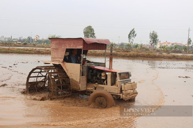 Máy cấy, mạ khay “đánh bay” lúa dại - Ảnh 1.