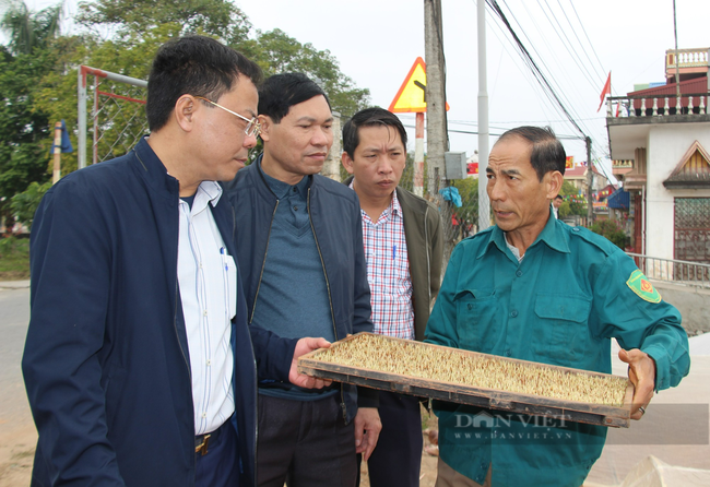 Máy cấy, mạ khay “đánh bay” lúa dại - Ảnh 3.