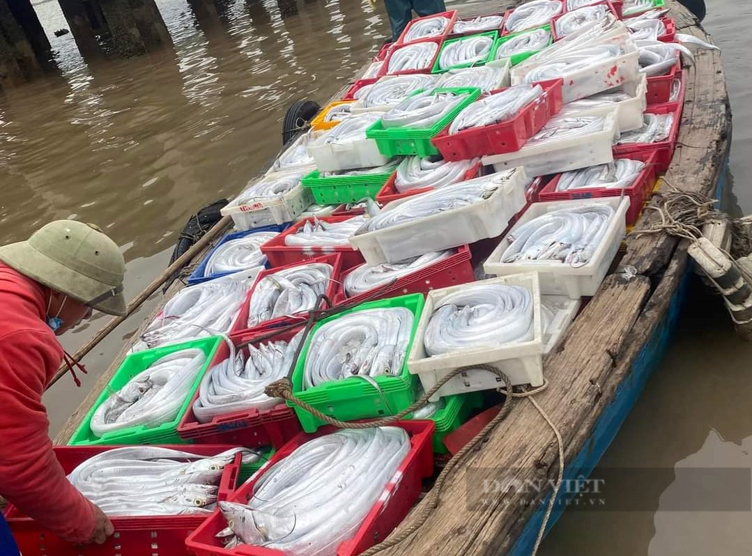 Nghệ An: Khai xuân đầu năm, một tàu cá trở về đầy ắp loại hải sản cực phẩm trị giá gần 3 tỷ đồng - Ảnh 3.