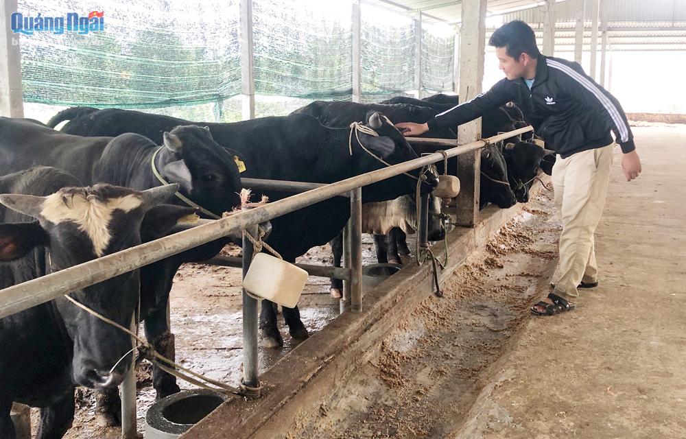 Lợi thế của người trẻ làm nông nghiệp - Ảnh 1. Lợi thế của người trẻ làm nông nghiệp - Ảnh 1.