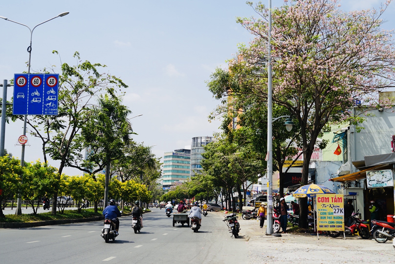 Hoa kèn hồng những ngày cuối mùa làm nao lòng người Sài Gòn - Ảnh 9.