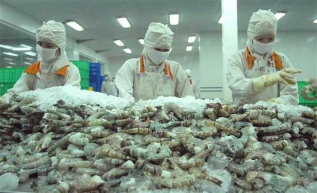 Nâng tầm con tôm Bạc Liêu, hướng tới mục tiêu xuất khẩu 1 tỷ USD - Ảnh 1.