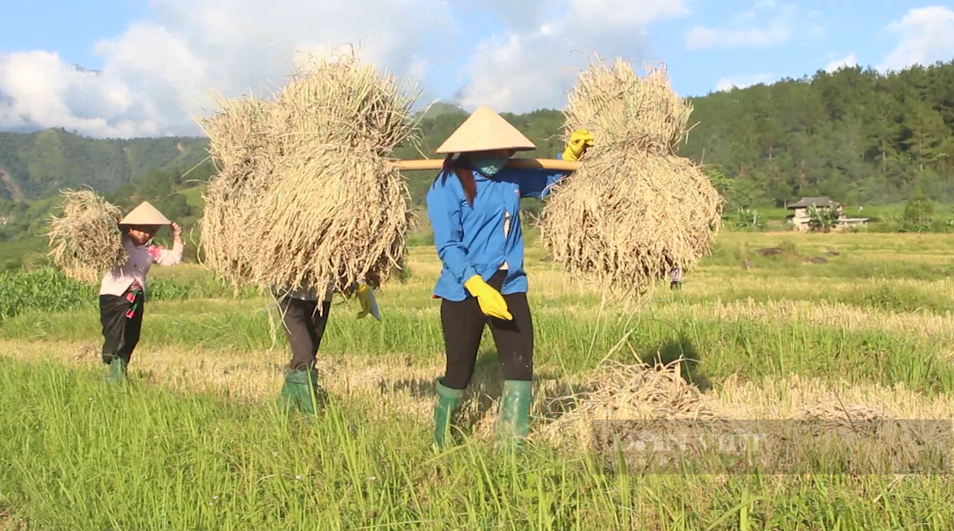 Nguồn lực tạo đà giúp phụ nữ Lai Châu thi đua làm giàu - Ảnh 3. Nguồn lực tạo đà giúp phụ nữ Lai Châu thi đua làm giàu - Ảnh 3.