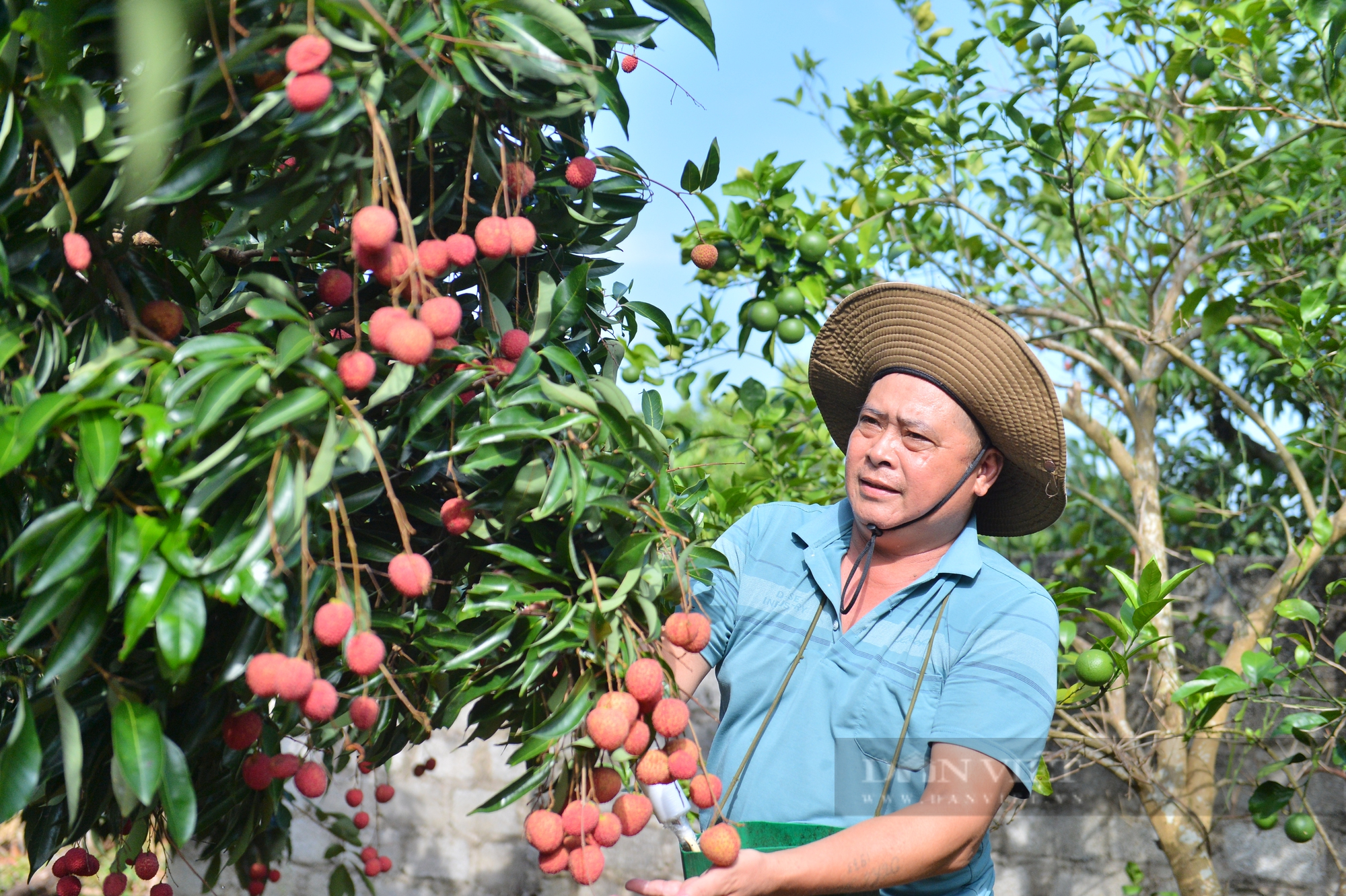 Bắc Giang: Tổ chức Đại hội điểm Hội Nông dân xã Giáp Sơn, huyện Lục Ngạn nhiệm kỳ 2023-2028 - Ảnh 2.