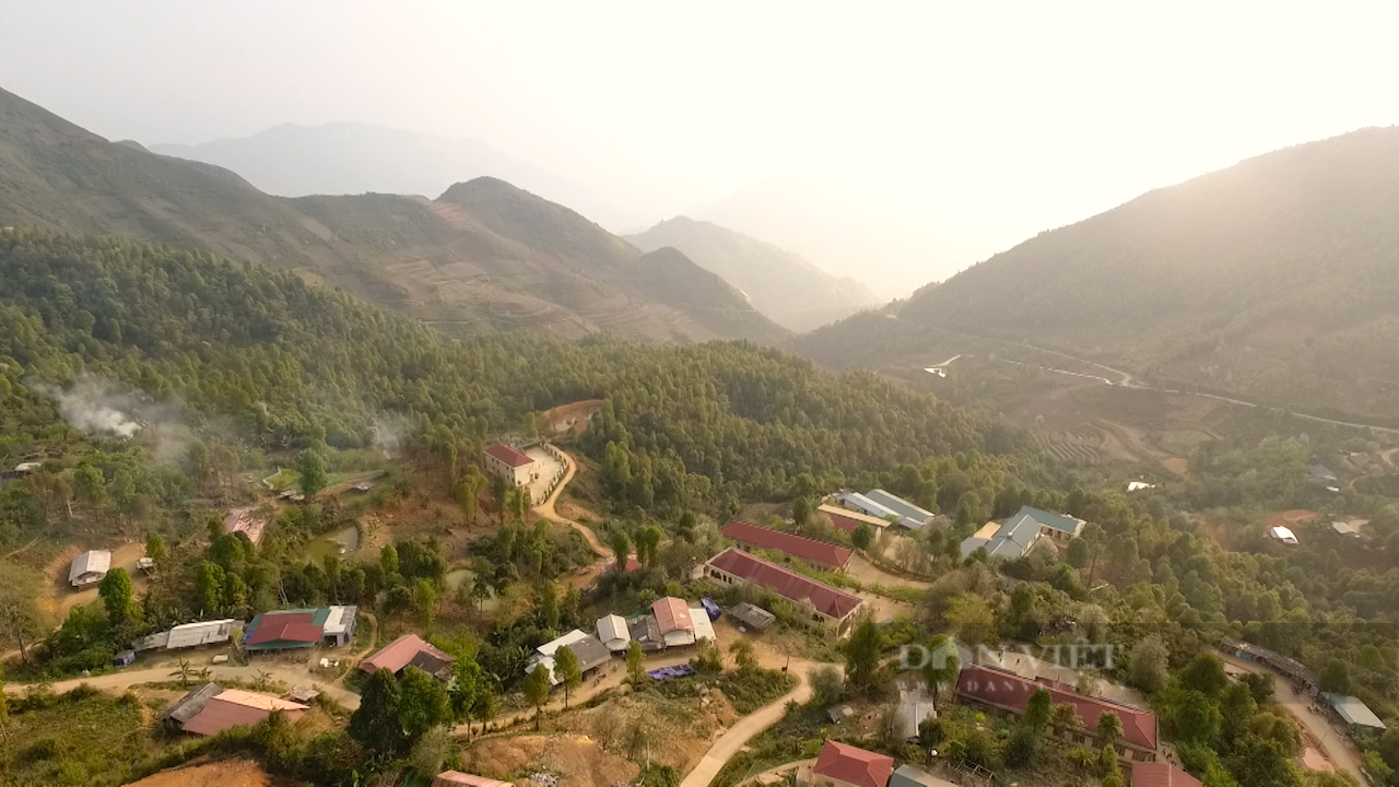 Người đưa cây thảo quả đến vùng đất khó - Ảnh 10.