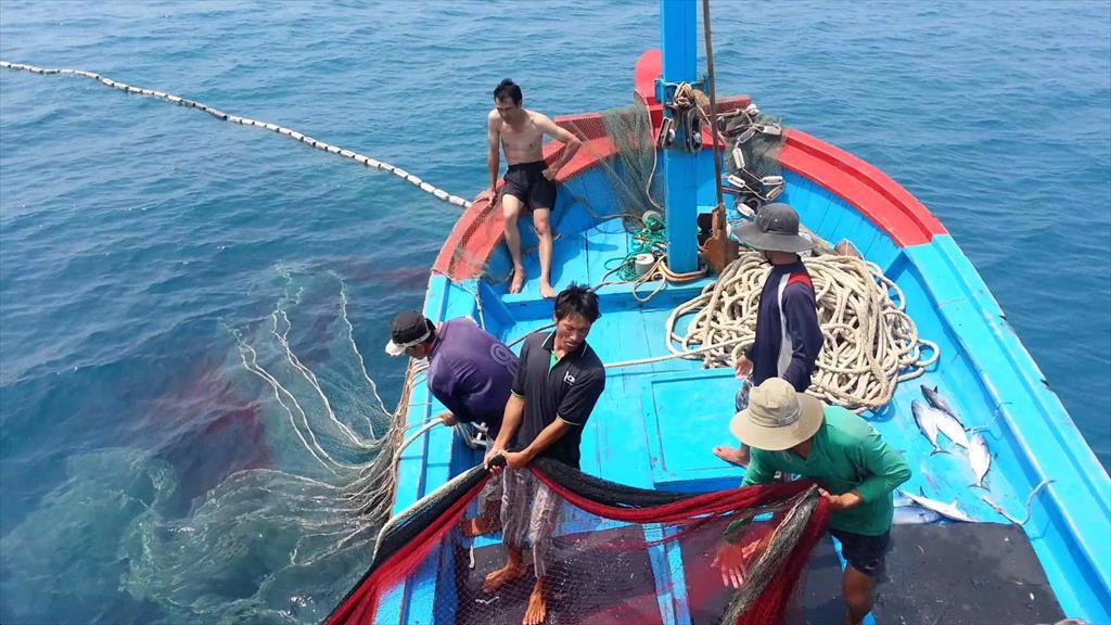 Mong manh cơ hội gỡ thẻ vàng cho thủy sản Việt Nam - Ảnh 1. Mong manh cơ hội gỡ thẻ vàng cho thủy sản Việt Nam - Ảnh 1.