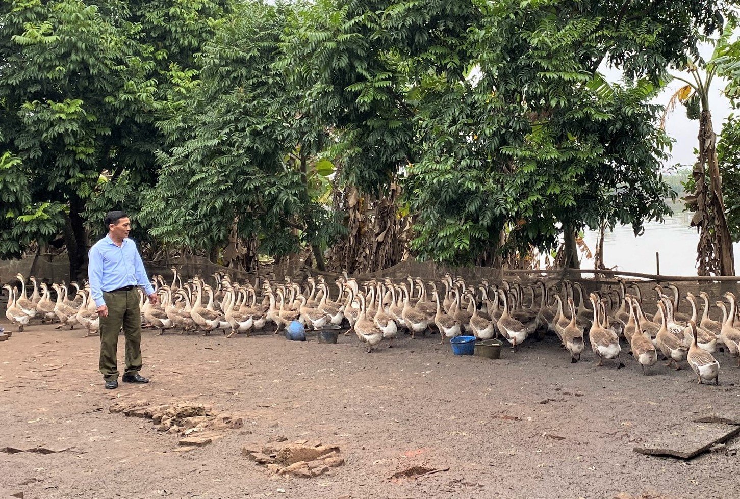 Làm giàu từ trang trại tổng hợp, một nông dân ở Nam Định được Thủ tướng tặng Bằng khen - Ảnh 1.