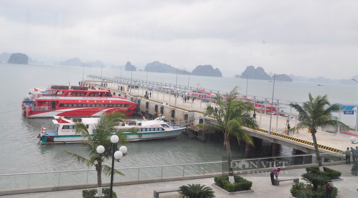 &quot;Mở hàng&quot; Bến cảng cao cấp Ao Tiên - Vân Đồn, những du khách đầu tiên nhận món quà bất ngờ - Ảnh 5.