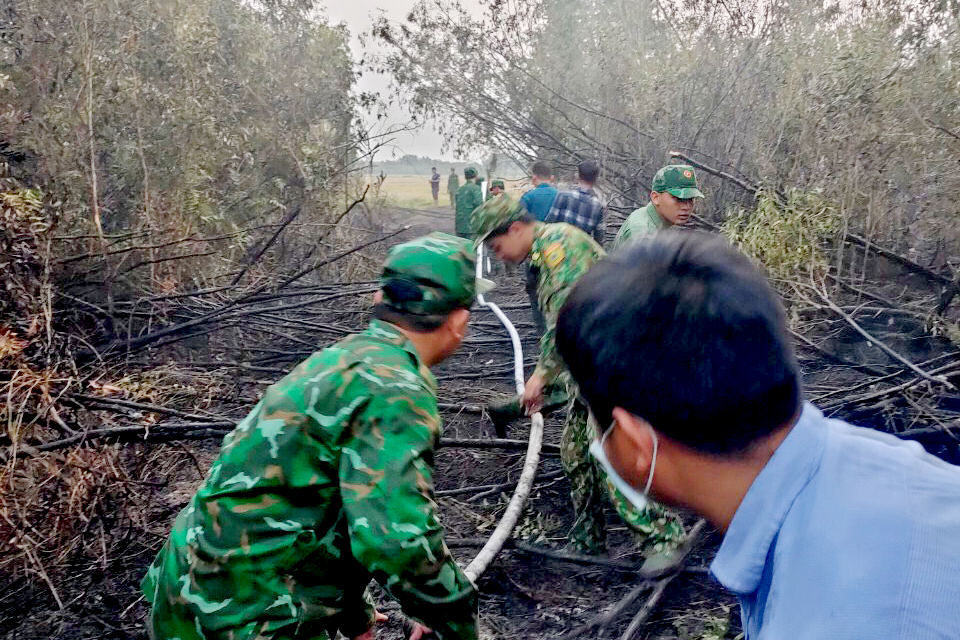 Kịp thời khống chế, dập tắt đám cháy trong rừng tràm trên biên giới - Ảnh 1.