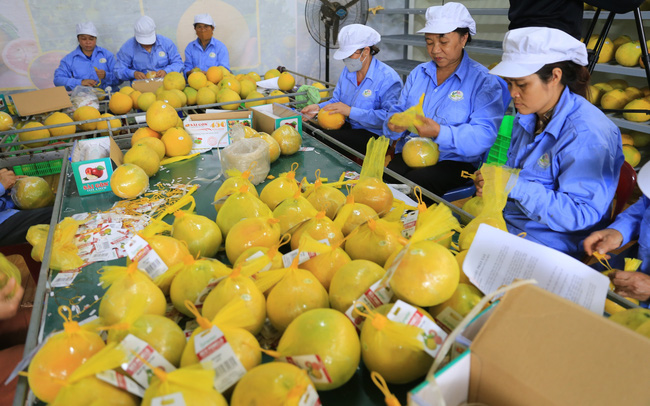 Cả nước có hơn 8.600 sản phẩm được &quot;gắn sao&quot; OCOP, nhiều sản vật từ làng...được đón nhận ở châu Âu - Ảnh 1.