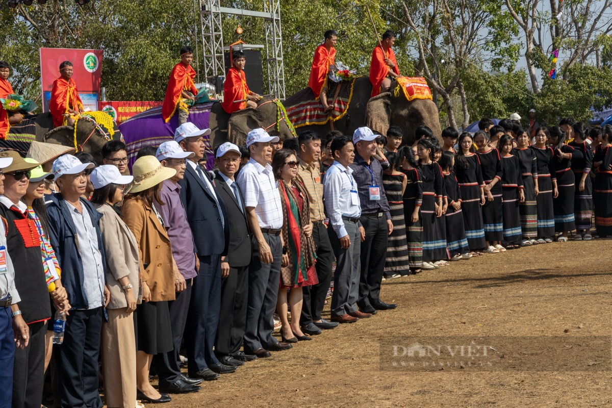 Hàng ngàn du khách thích thú xem voi Buôn Đôn dự &quot;tiệc buffet&quot; trái cây - Ảnh 2.