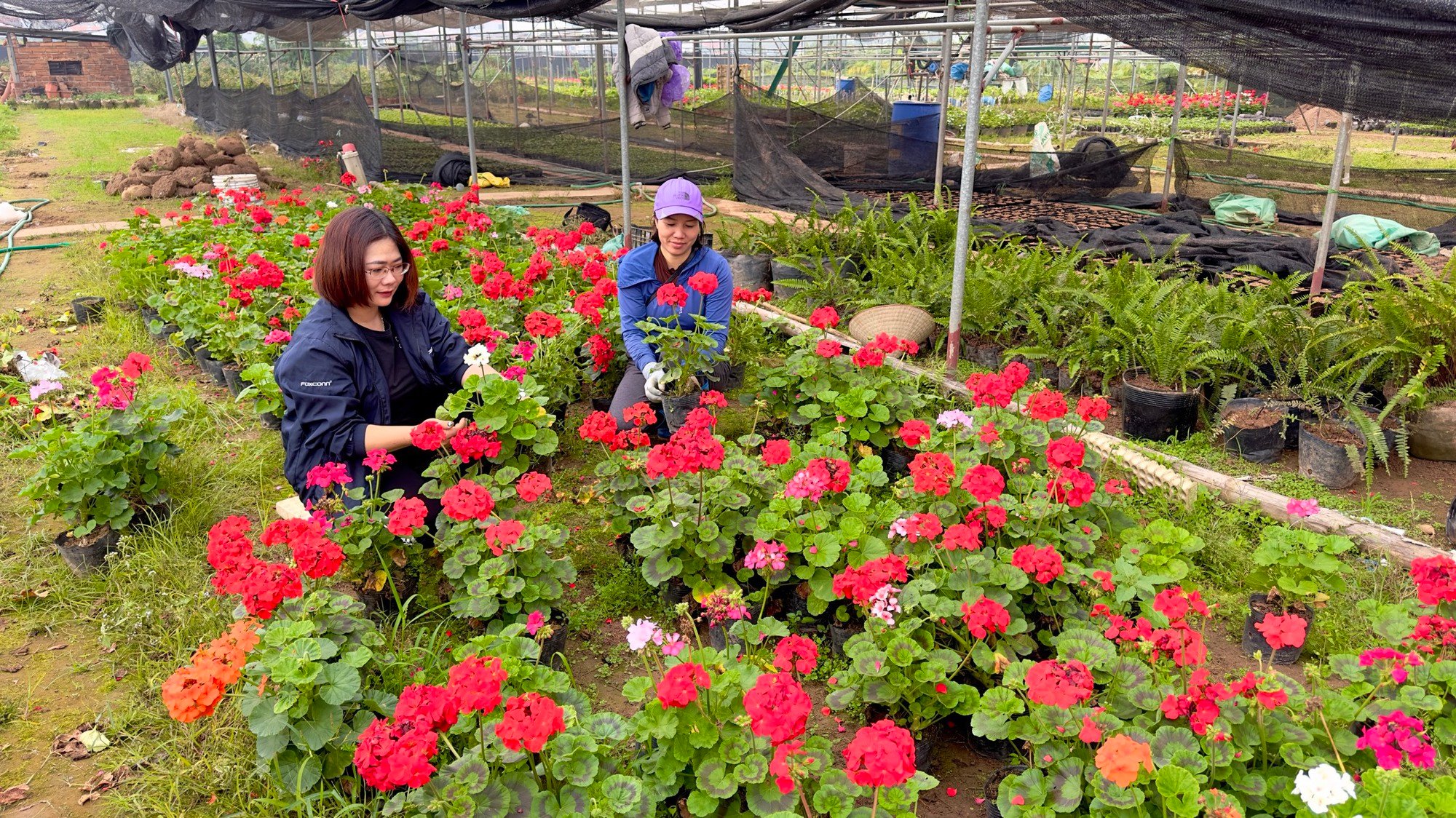 nghề thiết kế cảnh quan sân vườn 