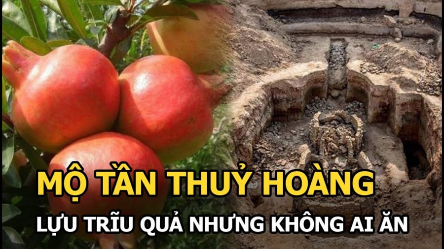 Có điều gì nguy hiểm ở cây lựu mọc trên lăng mộ của Tần Thủy Hoàng? - Ảnh 1.
