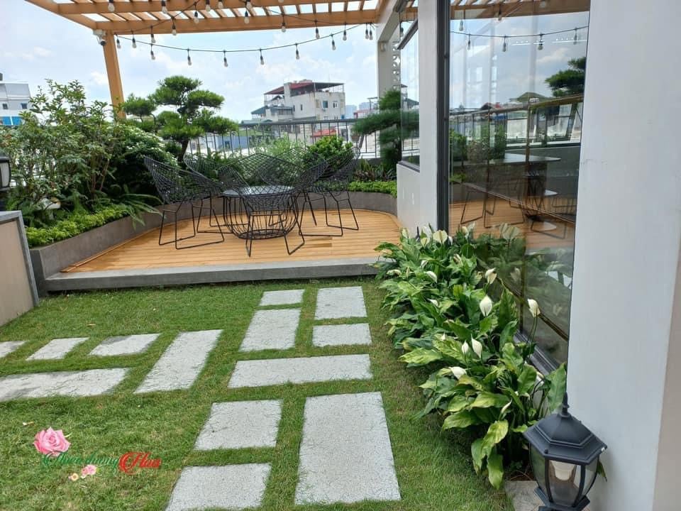nghề thiết kế cảnh quan sân vườn 