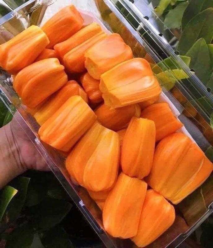 Mít ruột đỏ hơn 100.000 đồng/kg thương lái lùng mua từng quả - Ảnh 8.