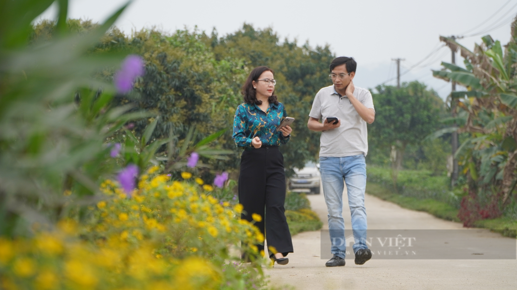Hà Giang: Trên điện sáng trưng, dưới muôn hoa đua nở ở một miền quê đáng sống vùng biên - Ảnh 4.