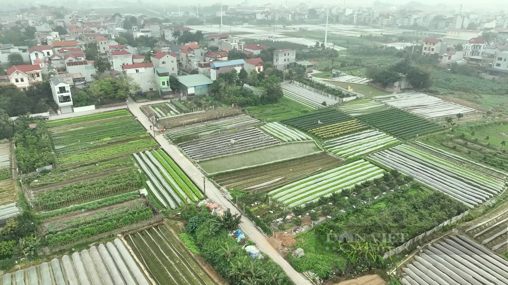 Dự thảo Luật Đất đai (sửa đổi): Ghi nhận gần 8.000 ý kiến đóng góp của người dân - Ảnh 1. Dự thảo Luật Đất đai (sửa đổi): Ghi nhận gần 8.000 ý kiến đóng góp của người dân - Ảnh 1.