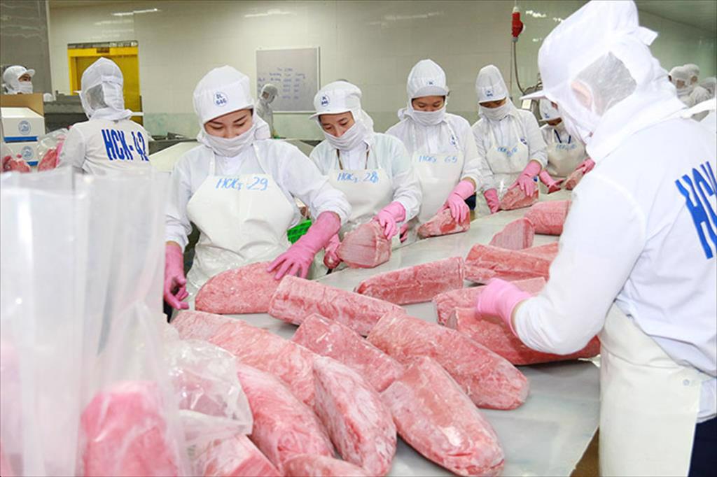 Hàn Quốc đột nhiên tăng mua một loài cá của Việt Nam,   sức mua tăng đến 457% - Ảnh 1.