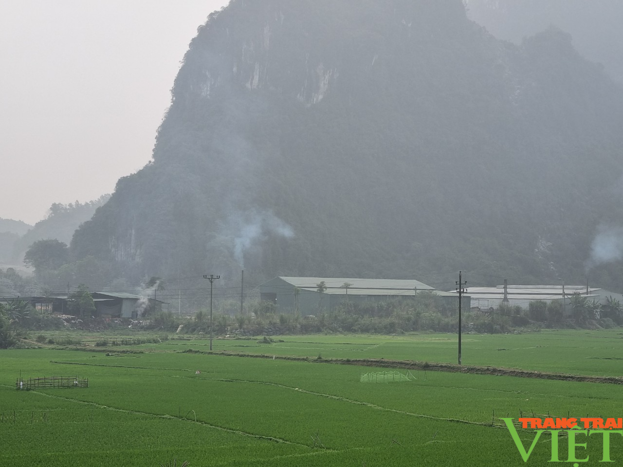 Hòa Bình: Người dân bức xúc khi doanh nghiệp mượn sổ đỏ nhiều năm chưa trả - Ảnh 1. Hòa Bình: Người dân bức xúc khi doanh nghiệp mượn sổ đỏ nhiều năm chưa trả - Ảnh 1.