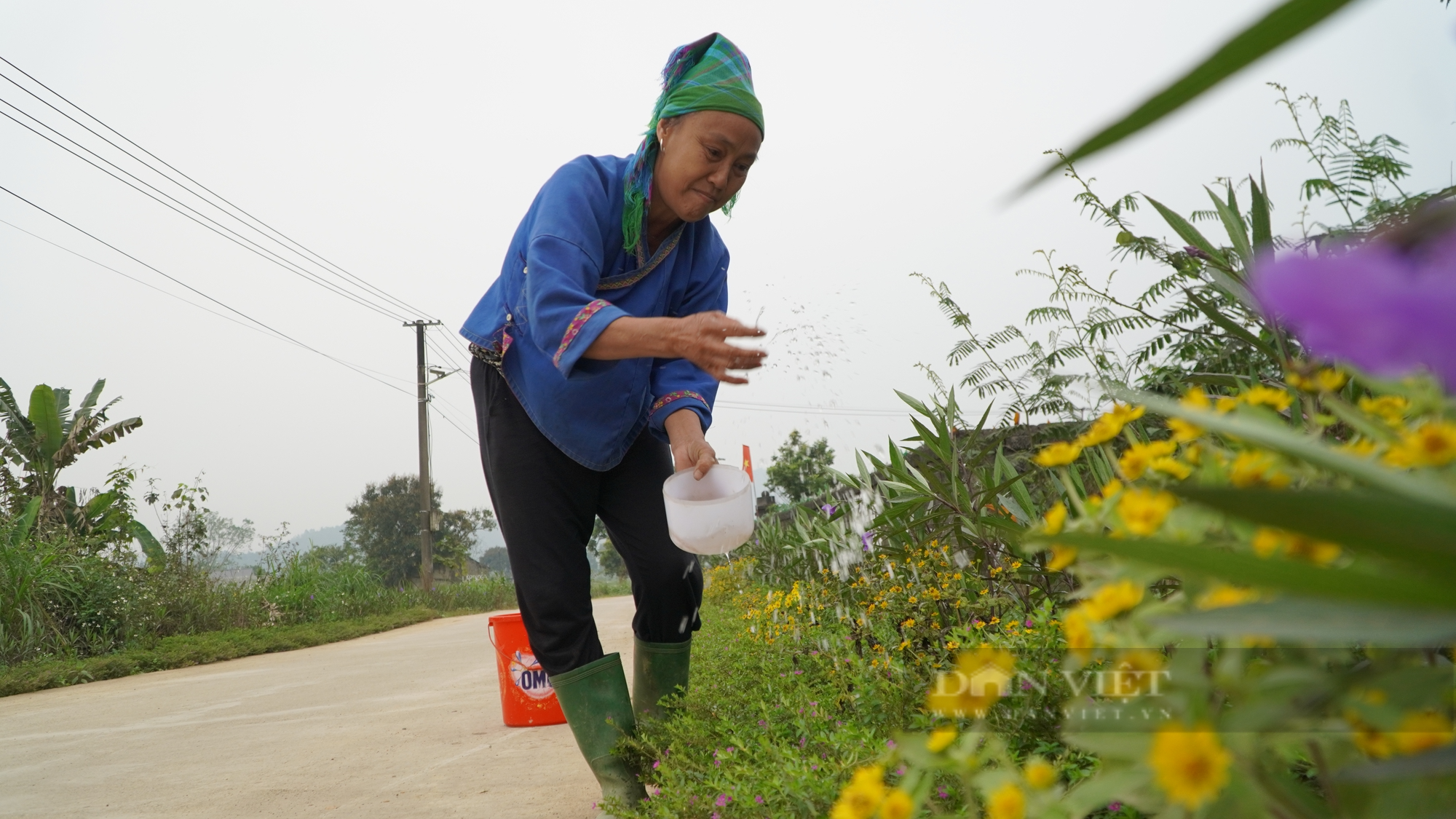 Hà Giang: Trên điện sáng trưng, dưới muôn hoa đua nở ở một miền quê đáng sống vùng biên - Ảnh 1.