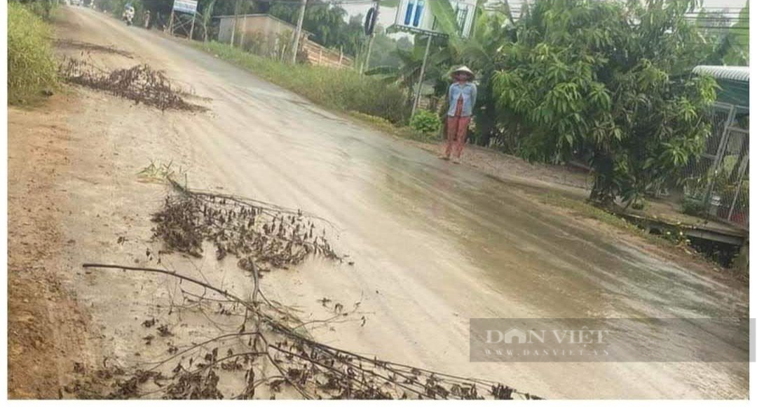 Người dân sống gần mỏ khai thác đất khổ sở khi suốt ngày hứng bụi bặm, đường sình lầy nguy cơ tai nạn giao thông - Ảnh 2.