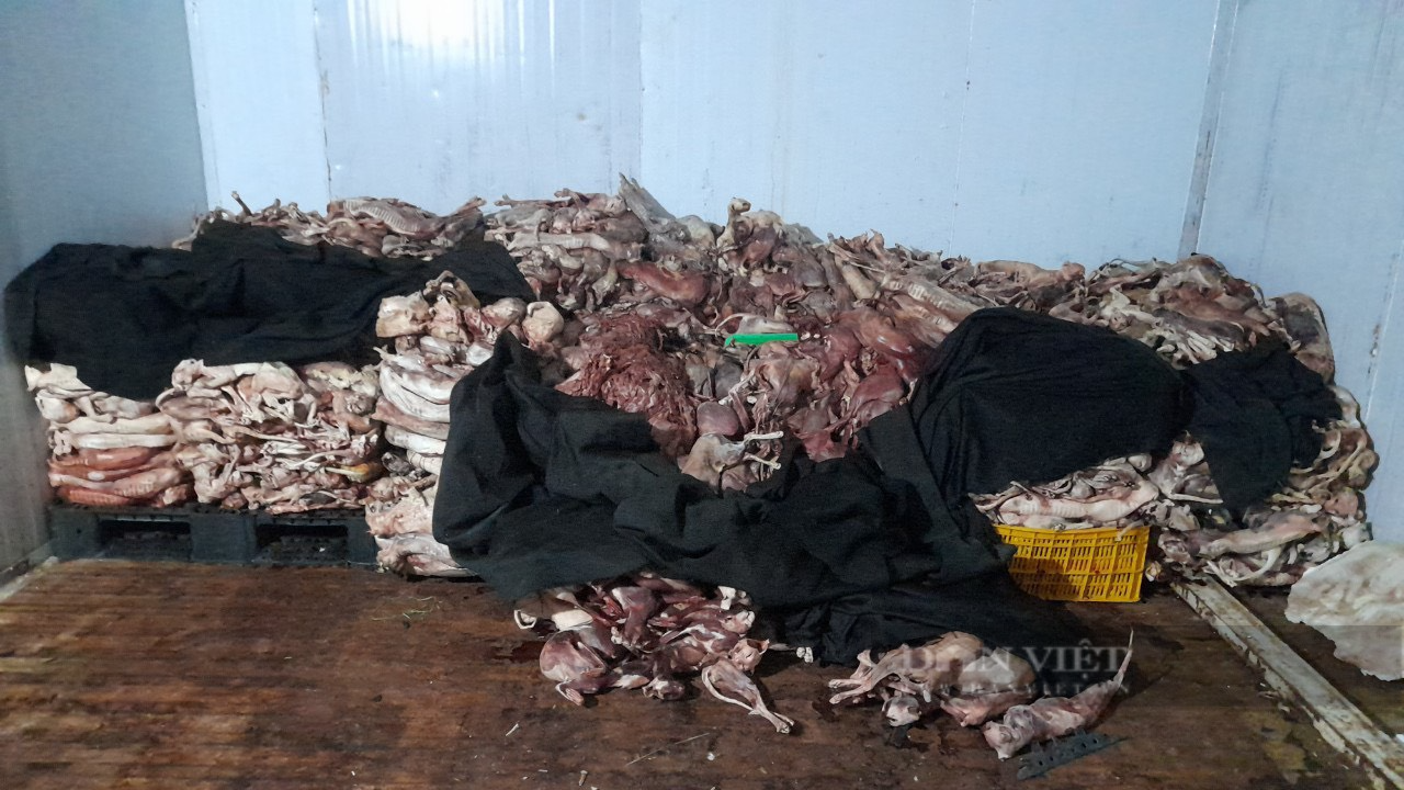 Đón đọc Điều tra Độc quyền:Trắng đêm với các &quot;sát thủ thú cưng&quot; liên tỉnh thành! - Ảnh 4.
