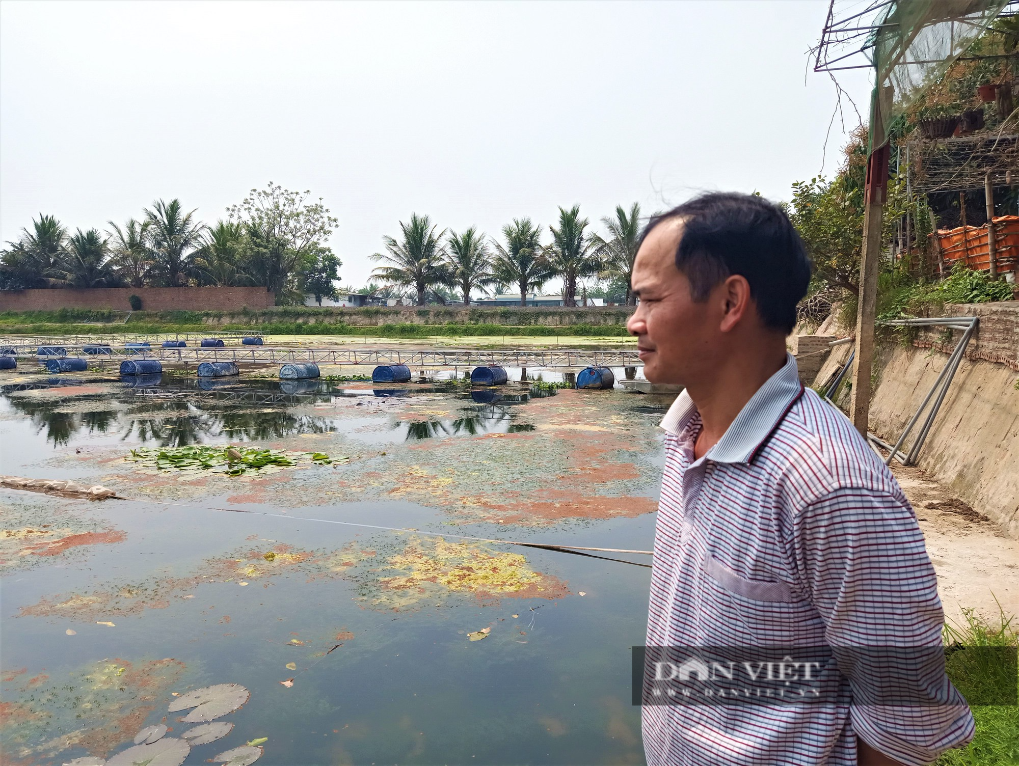 Bỏ nuôi cá, anh nông dân ở Hải Dương chọn nuôi con ít vốn, chăm nhàn, thu lãi cao, vợ chồng phấn khởi - Ảnh 3.