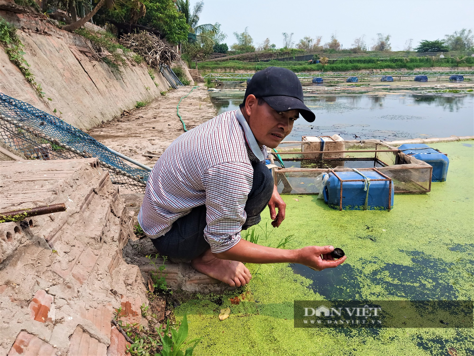 Bỏ nuôi cá, anh nông dân ở Hải Dương chọn nuôi con ít vốn, chăm nhàn, thu lãi cao, vợ chồng phấn khởi - Ảnh 6.