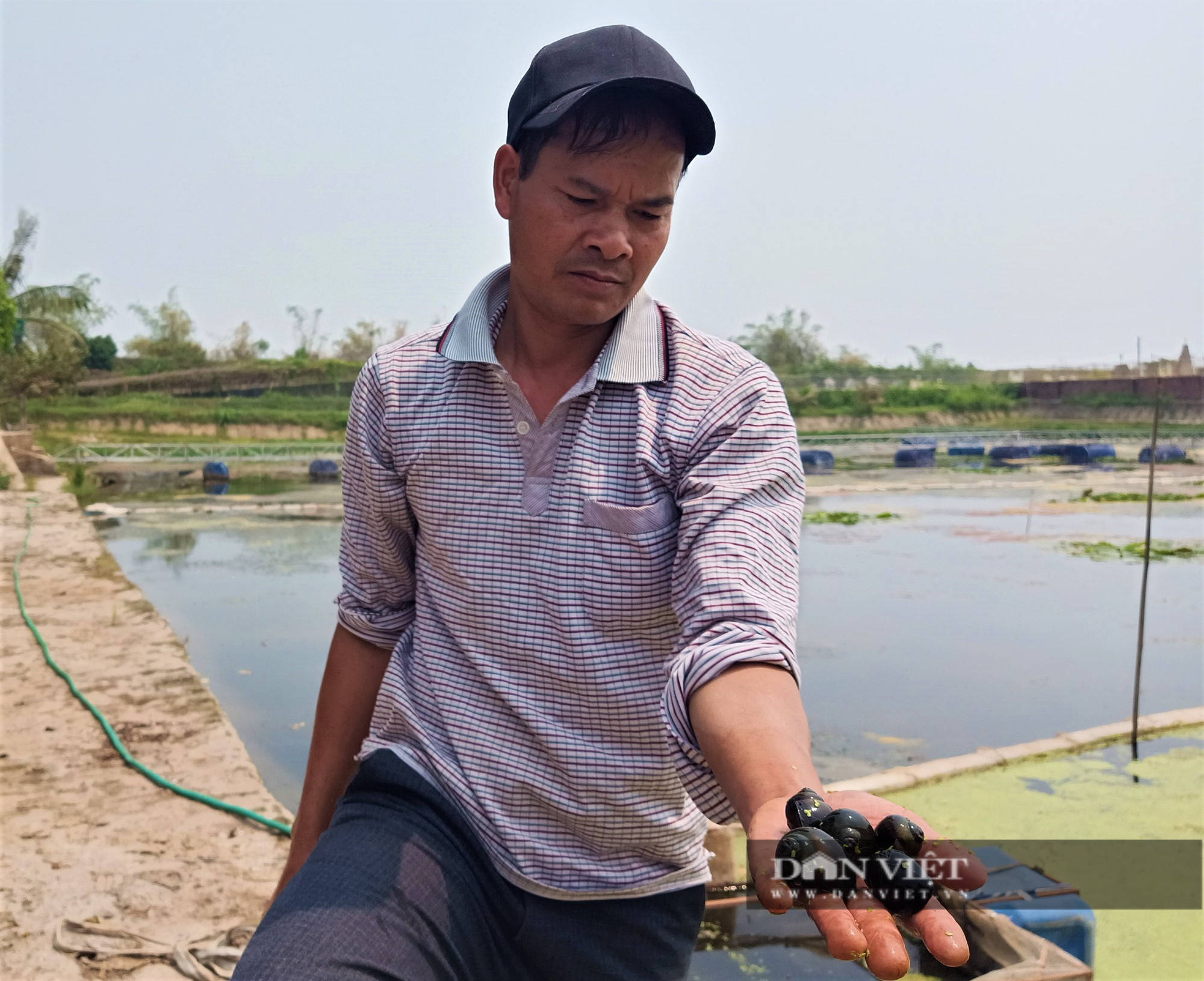 Bỏ nuôi cá, anh nông dân ở Hải Dương chọn nuôi con ít vốn, chăm nhàn, thu lãi cao, vợ chồng phấn khởi - Ảnh 2.