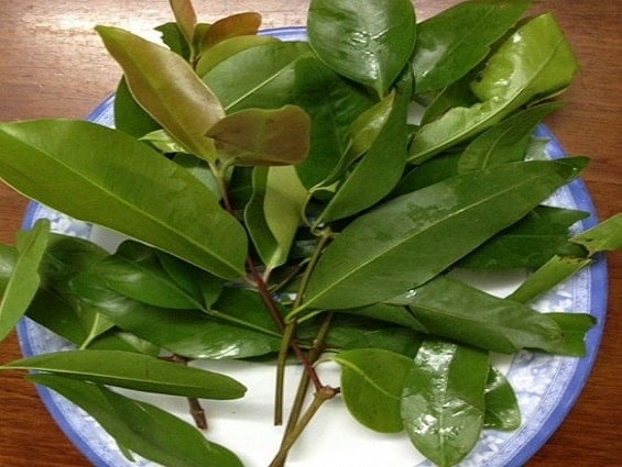 Rau rừng Tây Ninh lạ và ngon thế nào mà ai đến vùng đất này cũng muốn thử? - Ảnh 5.