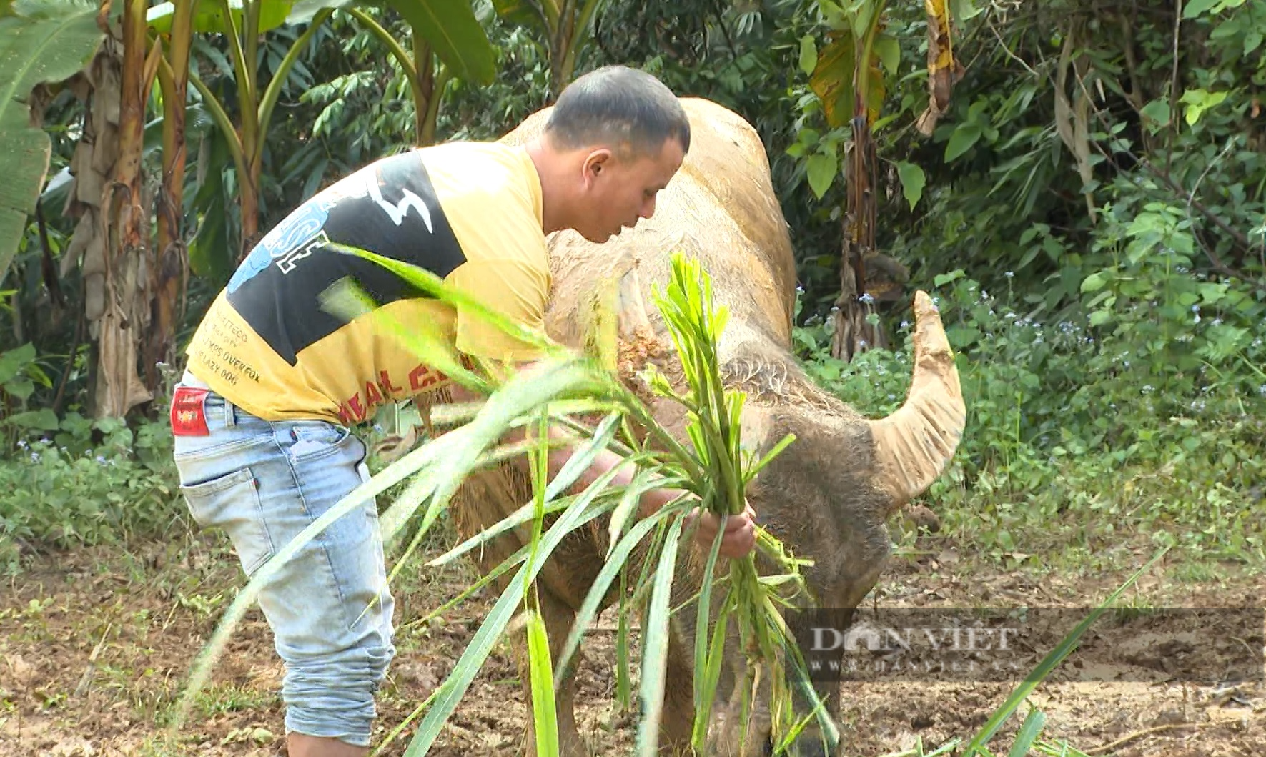 &quot;Trái ngọt&quot; từ nguồn vốn ưu đãi, công tác giảm nghèo vùng đồng bào thiểu số Lai Châu bớt gian nan - Ảnh 2.