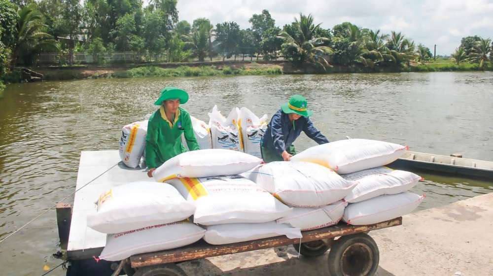 Ngành thủy sản đề xuất giảm thuế nhập khẩu khô đậu tương từ 2% xuống 0%  - Ảnh 1.