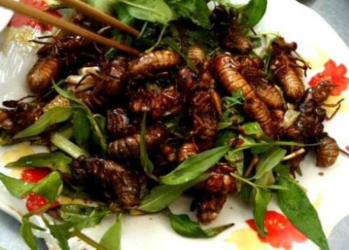 Đem con côn trùng gắn liền với tuổi thơ đi chiên giòn thành đặc sản vạn người mê độc nhất vô nhị Bình Phước - Ảnh 3.