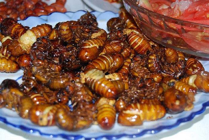 Đem con côn trùng gắn liền với tuổi thơ đi chiên giòn thành đặc sản vạn người mê độc nhất vô nhị Bình Phước - Ảnh 4.