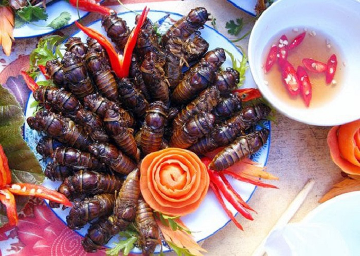 Đem con côn trùng gắn liền với tuổi thơ đi chiên giòn thành đặc sản vạn người mê độc nhất vô nhị Bình Phước - Ảnh 2.