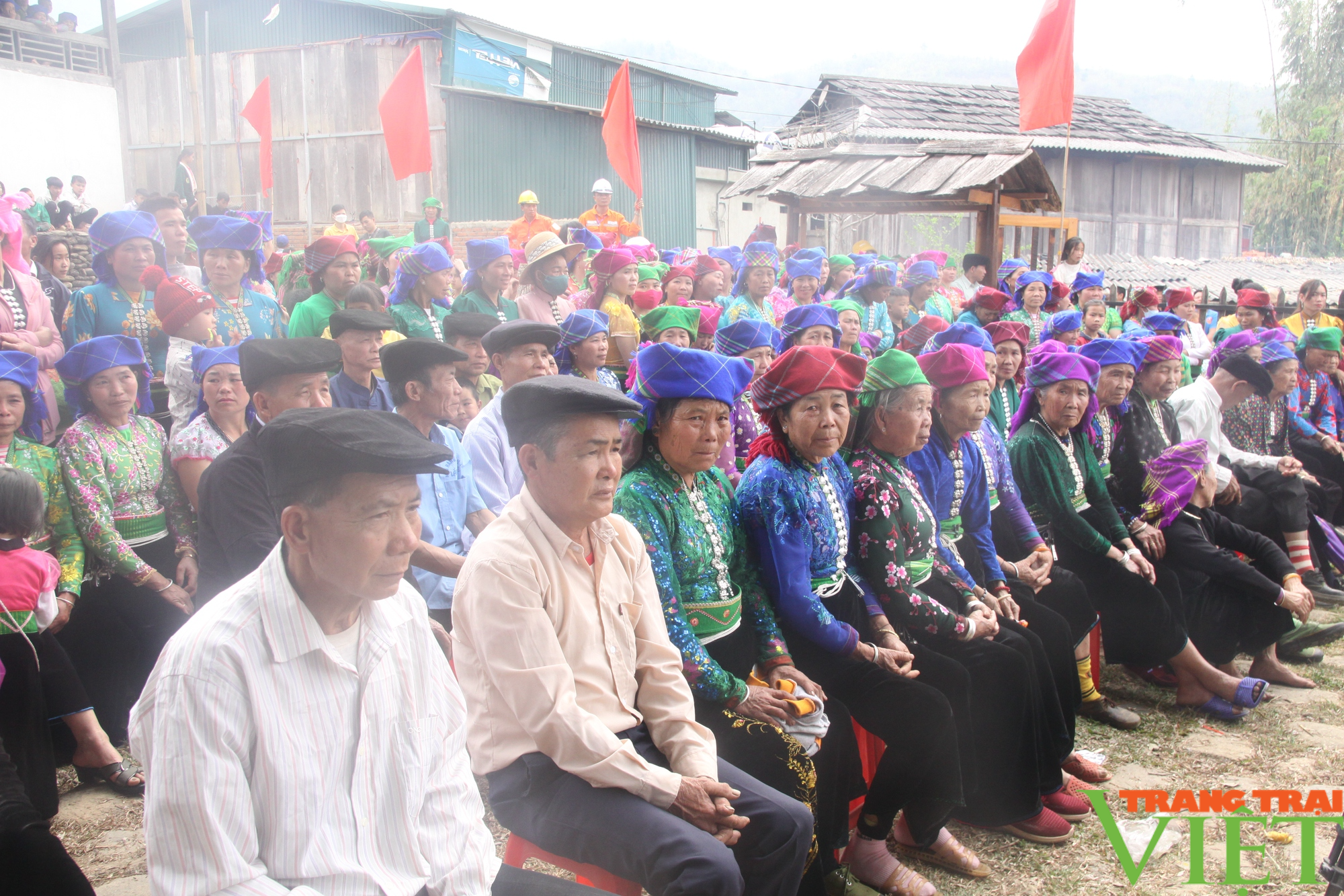 Thêm 7 cây cổ thụ lọt vào danh sách Cây Di sản Việt Nam - Ảnh 3. Thêm 7 cây cổ thụ lọt vào danh sách Cây Di sản Việt Nam - Ảnh 3.