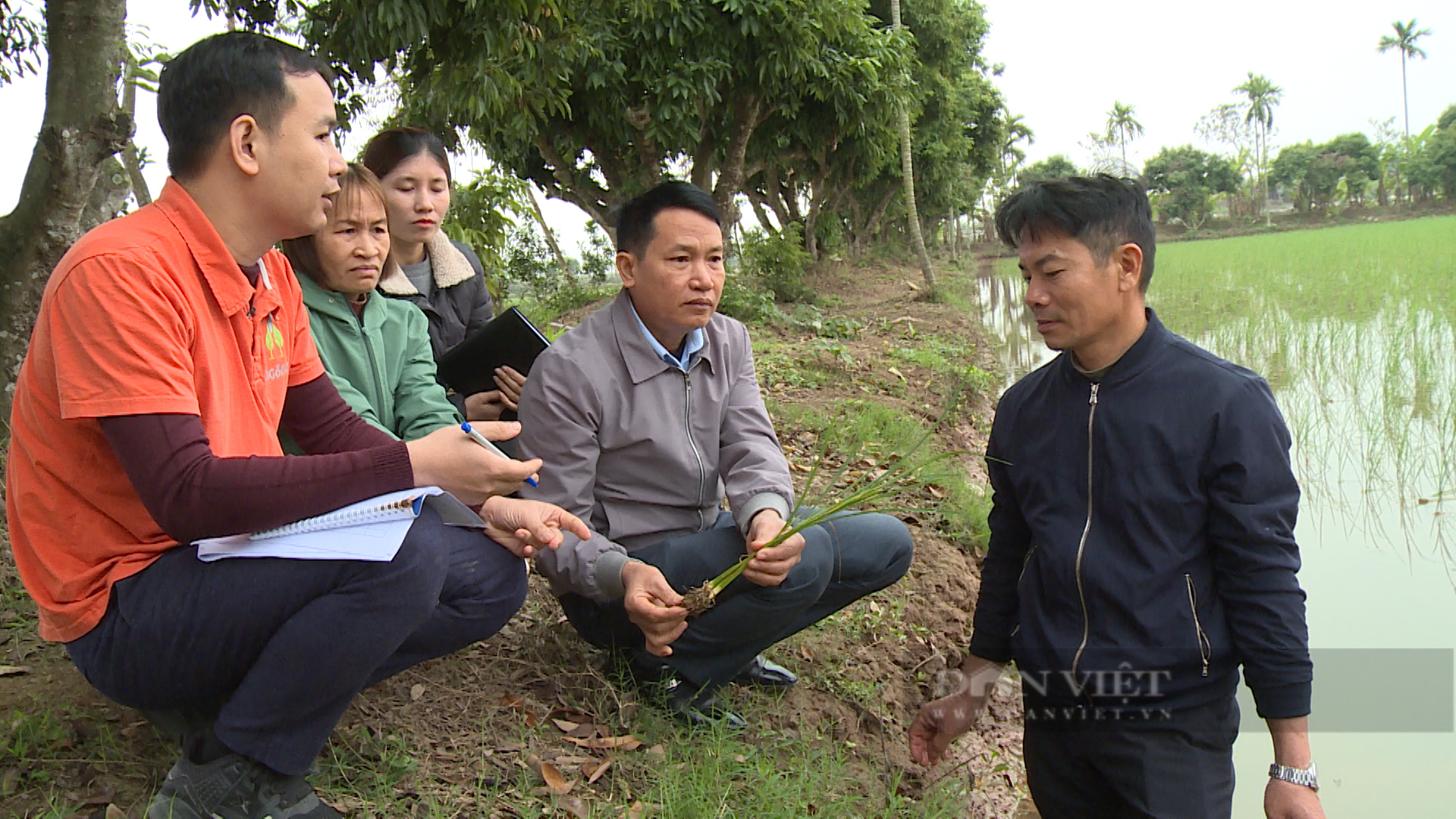 thu nhap nghe trong lua 