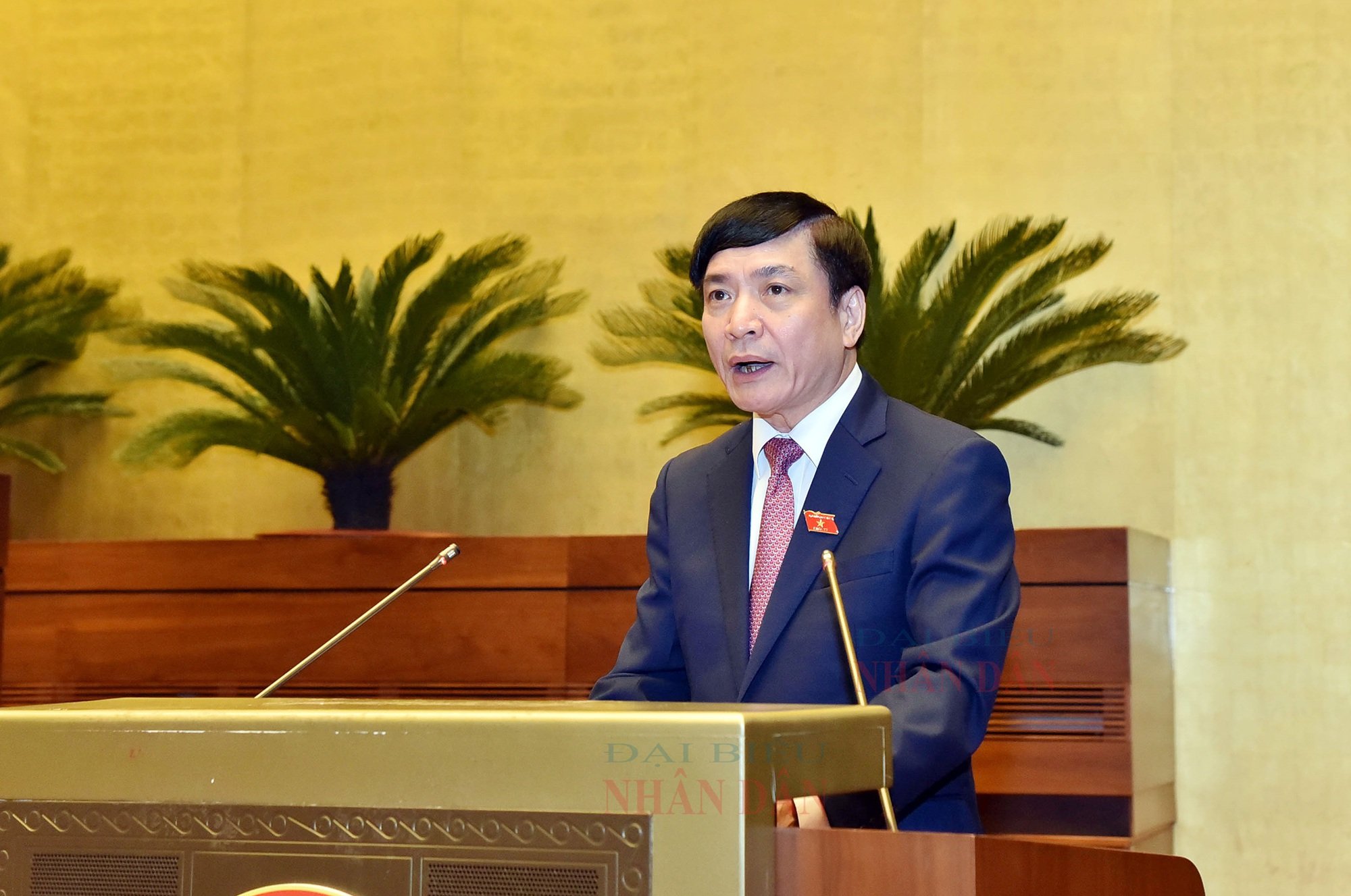 Hình ảnh kỳ họp Quốc hội bất thường lần 4 để bầu Chủ tịch nước  - Ảnh 6.