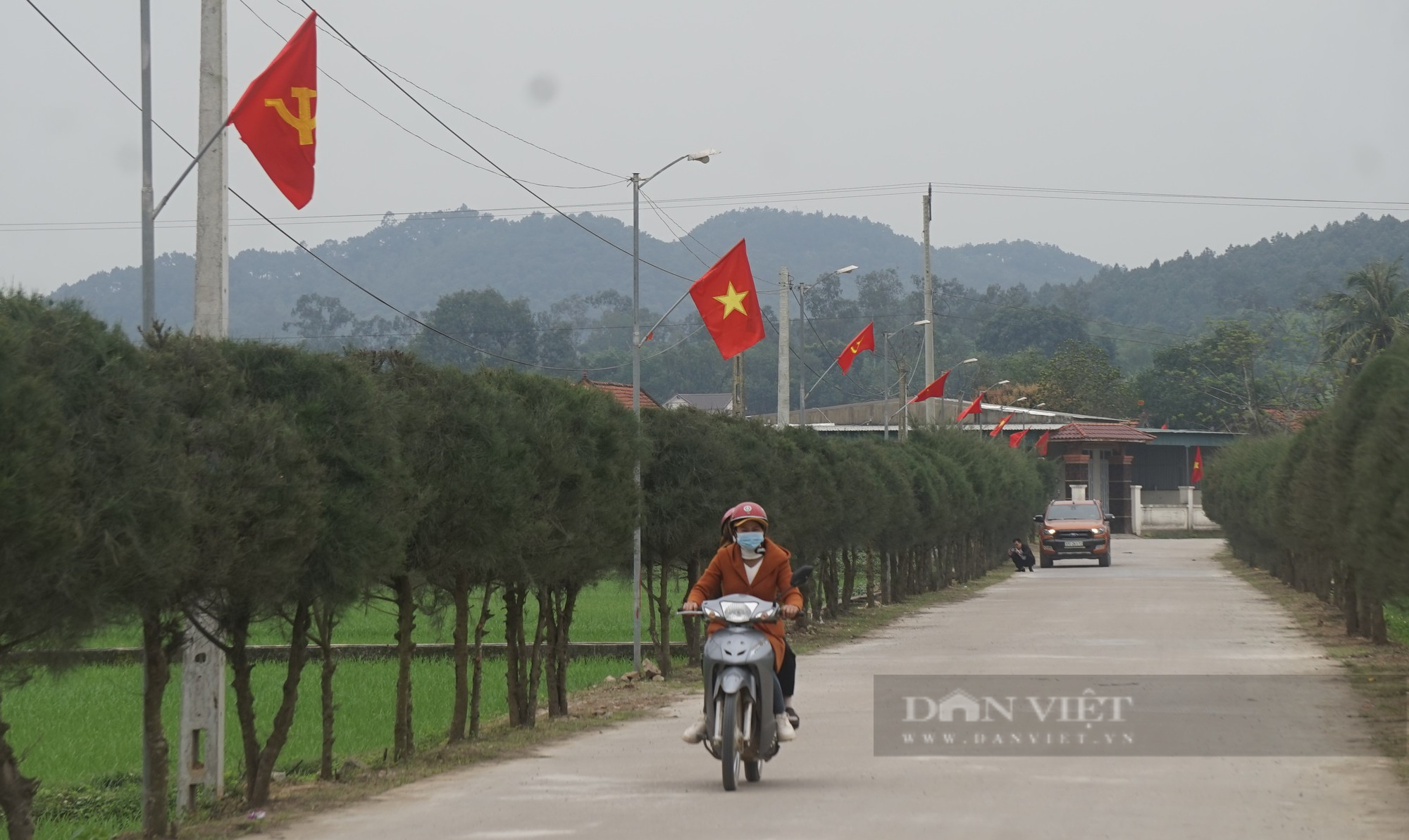 Mang loại cây chắn bão về cắt tỉa, tạo dáng trồng trên đường nông thôn mới như cây cảnh hạng sang  - Ảnh 7.
