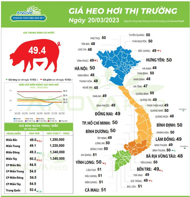 Thị trường không ổn định, giá lợn hơi khó trụ vững  - Ảnh 1.