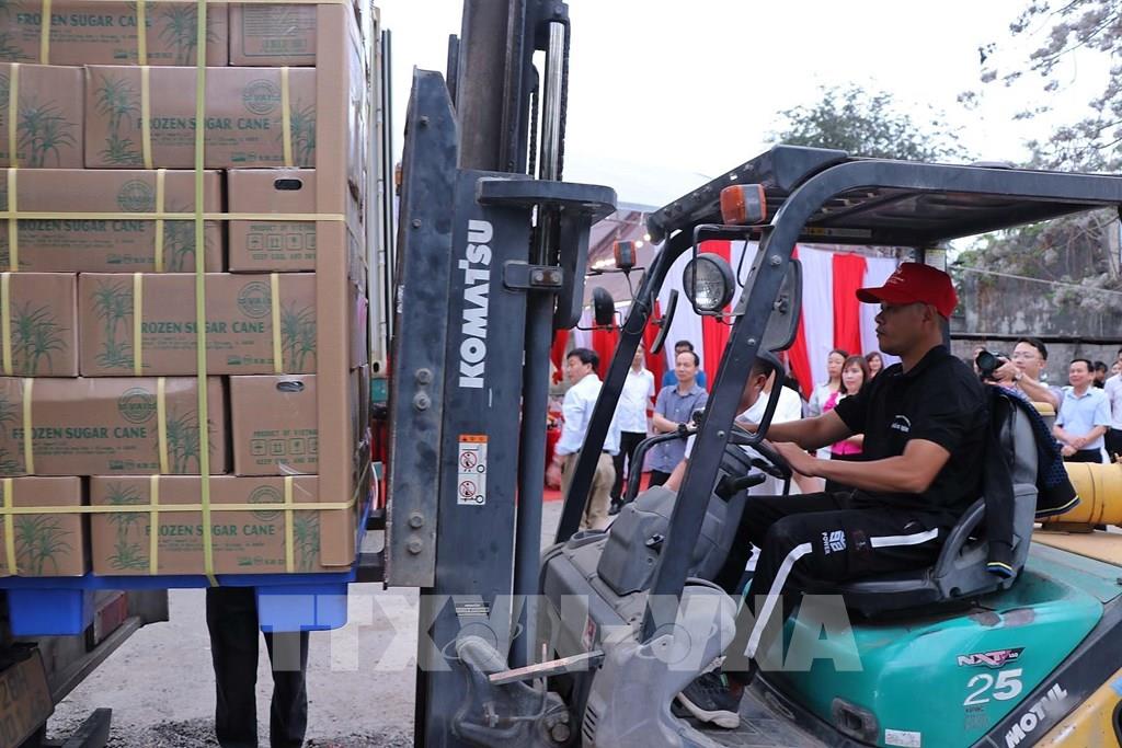 Hòa Bình xuất khẩu lô hàng mía tươi đầu tiên sang Hoa Kỳ - Ảnh 1.