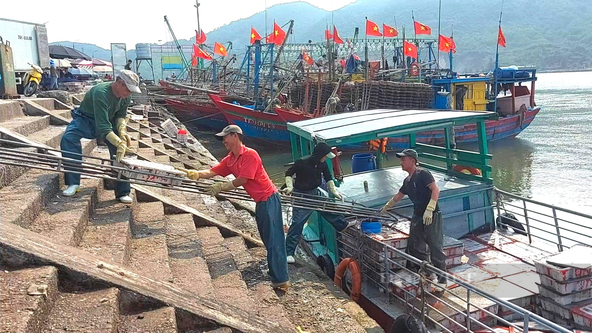 Ngư dân Hà Tĩnh cứ ra biển giăng lưới là trúng đậm mẻ lớn cá có hình dáng nhỏ nhắn, thu về nửa trăm triệu - Ảnh 4.