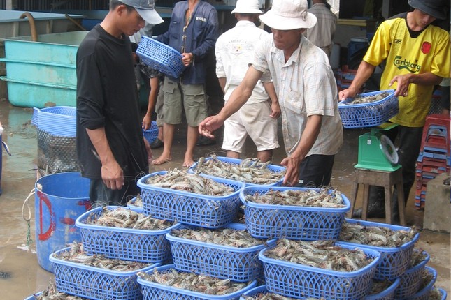 Thuế nhập khẩu nguyên liệu thức ăn &quot;đè&quot; ngành chăn nuôi, thủy sản - Ảnh 1.