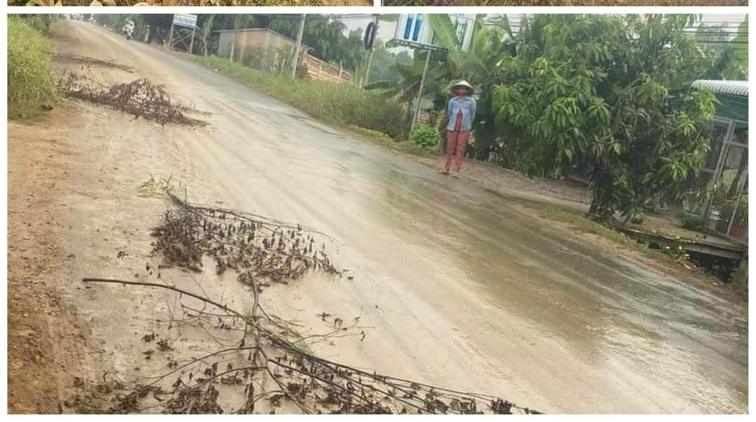 Long An: Không để tái diễn khai thác, vận chuyển hầm đất Thành Lắm Nhơn Hòa vi phạm an toàn giao thông - Ảnh 2.