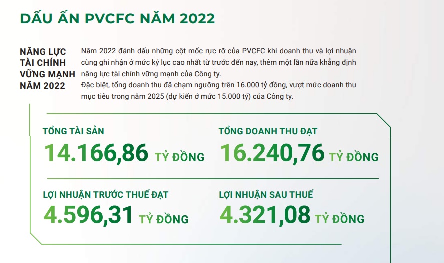 Thắng lợi rực rỡ năm 2022, vì đâu DCM lên kế hoạch lãi giảm sâu tới 67% xuống hơn 1.300 tỷ đồng? - Ảnh 1.