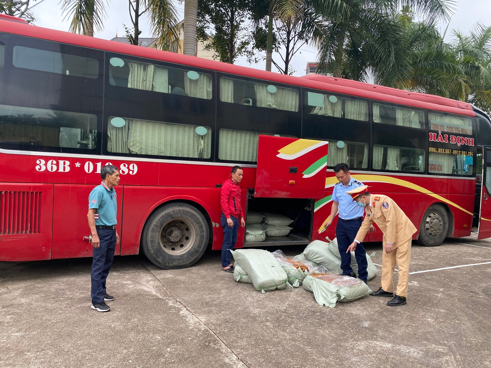 Bắt nửa tấn lòng lợn bốc mùi ở Móng Cái suýt bị đưa lên bàn nhậu - Ảnh 1. Bắt nửa tấn lòng lợn bốc mùi ở Móng Cái suýt bị đưa lên bàn nhậu - Ảnh 1.