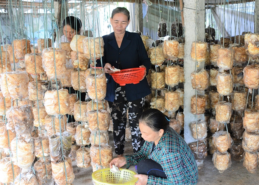 TP. Đà Nẵng giảm nghèo bền vững 