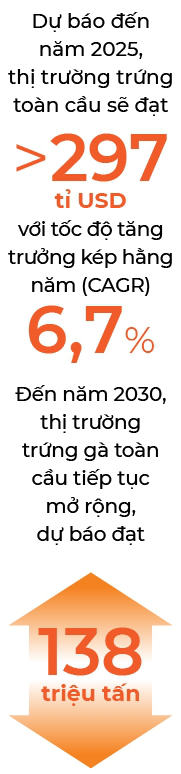 Trứng gà ra thế giới - Ảnh 3.